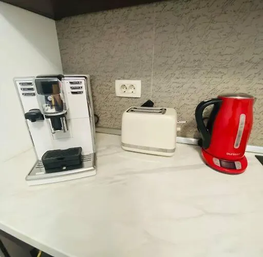 In Herastrau Self Check-in Apartment *