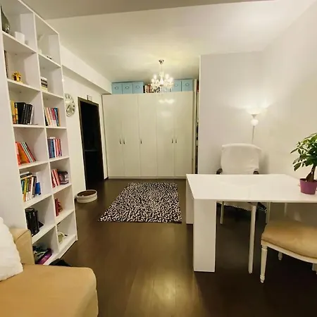 Appartement In Herastrau Self Check-in Boekarest
